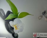 матовый потолок