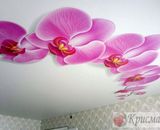 сатиновый потолок