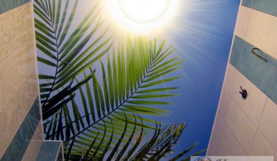 потолок в санузел