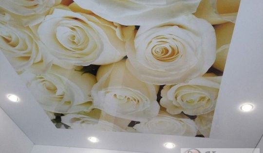 фото-потолок