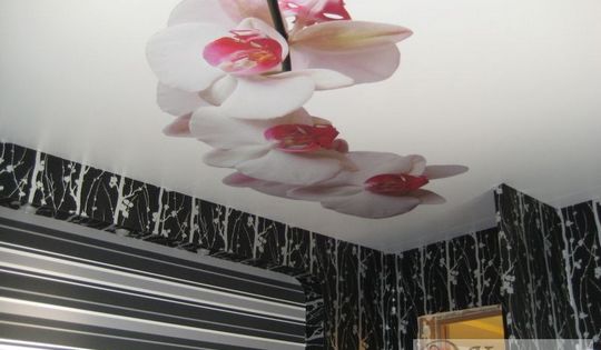 фото-потолок