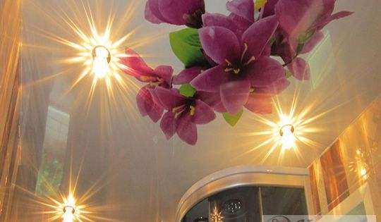 фото-потолок