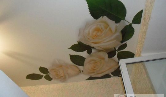 фото-потолок